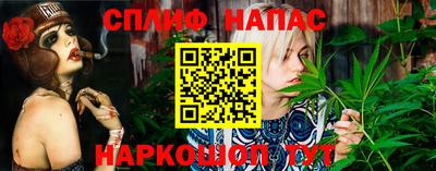 бошки Тула