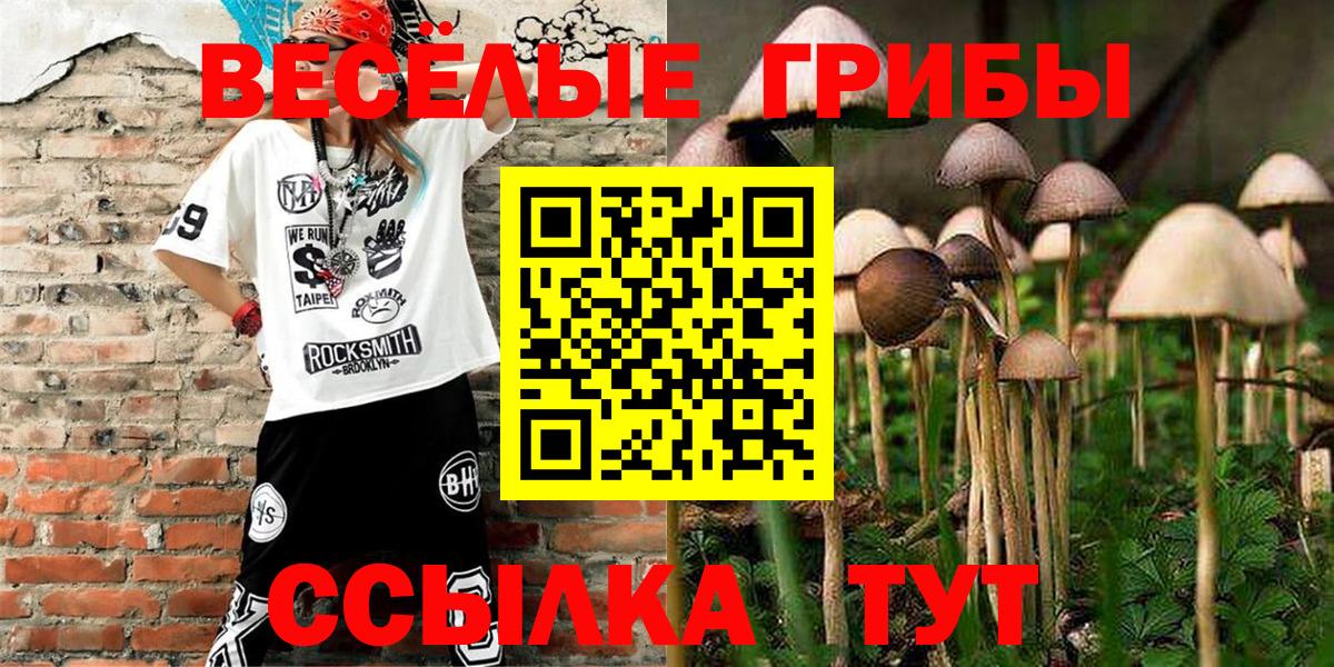 Галлюциногенные грибы мухоморы  Вход с VPN  Пыть-Ях  Галлюциногенные грибы Psilocybe 